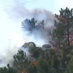 France and Spain Hit by Red Weather Warnings Amid Europe’s Record-Breaking 44°C Heatwave