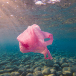 Europe steps up fight against marine pollution with limit on seabed litter